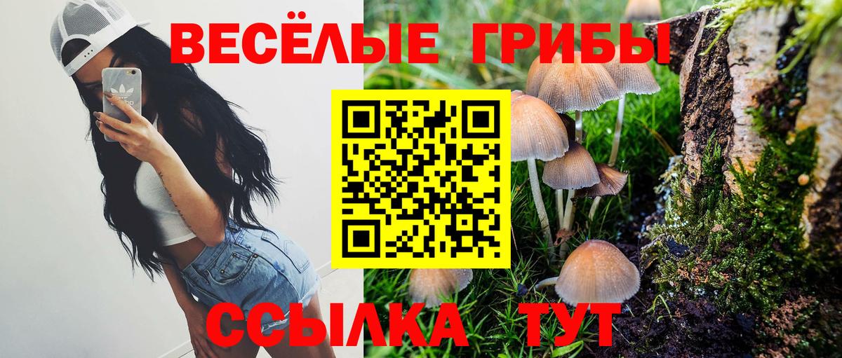 купить закладку  Галлюциногенные грибы Magic Shrooms  Вход с VPN  Галлюциногенные грибы Magic Shrooms  Сегежа 