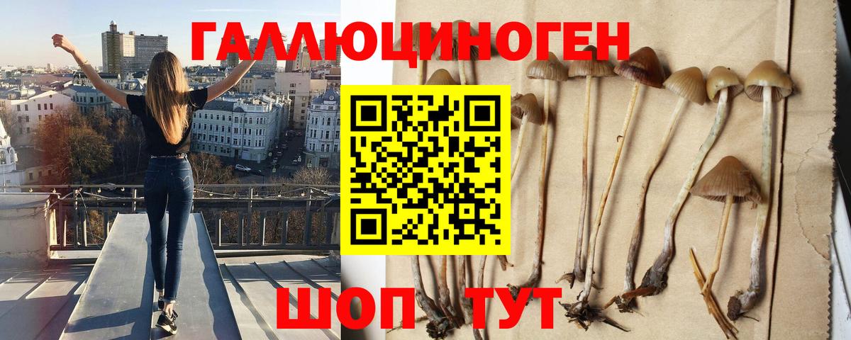 Псилоцибиновые грибы мицелий Сегежа